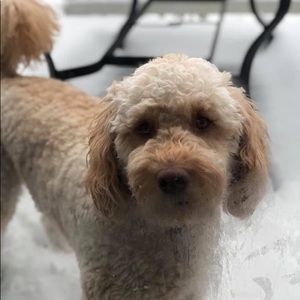 Meet your Posher, Jay